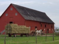 A horse-drawn hay trailer in front of a large, red barn